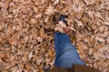 Man in trekking boots and jeans is walking on the ground with dryed orange leaves