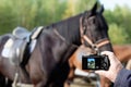 A man tries to focus on a riding horse with a compact Ricoh GR iii camera. Chelyabinsk, Russia - September 2022