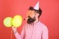 Man with trimmed beard wearing pink shirt and party cap isolated on red background. Bearded man blowing party whistle