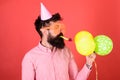Man with trimmed beard wearing pink shirt and party cap on red background. Bearded man blowing party whistle