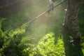 Man with trimmer mows grass in yard Royalty Free Stock Photo