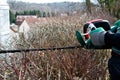 Gardening hedge cutting Royalty Free Stock Photo