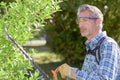 Man trimming hedge with hedgecutter Royalty Free Stock Photo