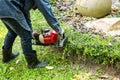 Man trimming hedge with trimmer machine Royalty Free Stock Photo