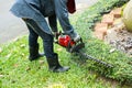 Man trimming hedge with trimmer machine Royalty Free Stock Photo