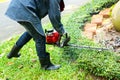 The man trimming hedge with trimmer machine Royalty Free Stock Photo