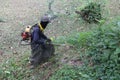 Man trimming jungle grass and small trees