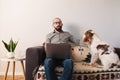 Man trying to work at home, dog seeking attention. Royalty Free Stock Photo