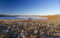 Man with two boys on a shore of frozen lake on a sunny winter`s day