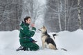 Two dogs walk outdoors in winter with an owner Royalty Free Stock Photo