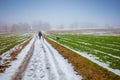 Man with two dogs walking on the dirt road in the countryside in winter