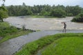 Man with Umbrella. Floods in Dapoli, Konkan, Maharashtra