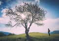 Man under the big lonely tree. Instagram stylization Royalty Free Stock Photo