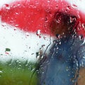 A man under an umbrella in the rain. Drops with and classic autumnal bad weather. Seasonal background with rain. Royalty Free Stock Photo