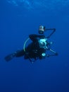 Man Underwater Photographer Scuba Diving