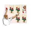 Man in a uniform shirt shows a red card to a girl in a window. Incorrect flowers. Point out a violation