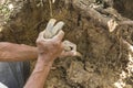 A man uses a crowbar to aid in digging a hole for a foundation for a house. Manual excavation work Royalty Free Stock Photo