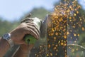 Man uses flexible that makes sparks without using protective gloves. Lack of use of protection systems