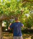 man uses the shears in a garden