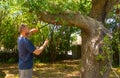 man uses the shears in a garden