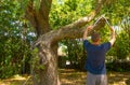 man uses the shears in a garden