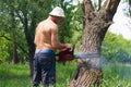 Man using a chainsaw to fell a tree Royalty Free Stock Photo
