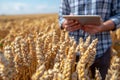 Man using communication device in wheat field under sky Royalty Free Stock Photo