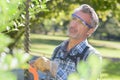 Man using hedge trimmer