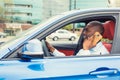 Man using mobile phone while driving car to work Royalty Free Stock Photo