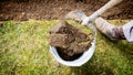 Man using spade for old lawn digging, gardening concept Royalty Free Stock Photo