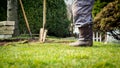 Man using spade for old lawn digging, gardening concept Royalty Free Stock Photo