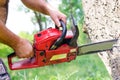 Man using a two-stroke petrol chainsaw Royalty Free Stock Photo