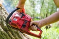 Man using a two-stroke petrol chainsaw Royalty Free Stock Photo