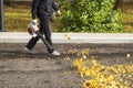 A man, a utility worker, removes leaves from the road with a special device
