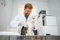 Man veterinarian listening cat with stethoscope during appointment in veterinary clinic Royalty Free Stock Photo