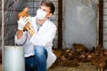 Man veterinarian in mask taking look at chicken