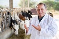 Man veterinarian with milk on dairy farm Royalty Free Stock Photo