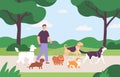 Man volunteer character walking with many dogs on leash at park. Dog sitter job outdoor. Flat dogs walk service or pet