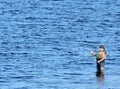 A man in waders fishing from in the water. Royalty Free Stock Photo