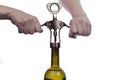 Man waiter opens a bottle of wine with corkscrew Royalty Free Stock Photo