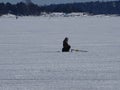 Man is waiting the fish to come to get some food Royalty Free Stock Photo