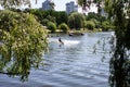 Man on a wakeboard on a lake