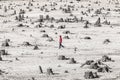 Man walk alone in the post apocalypse landscape