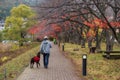 man walk with cute retriever dog