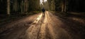 Man walk on a dirt road in a forest among tall green trees illuminated by the sunrise sun Royalty Free Stock Photo