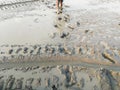 Man walk and lots foot print on dirty muddy ground