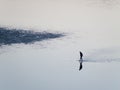 Man walking alone in a desert beach Royalty Free Stock Photo