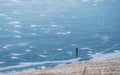 A man walking alone on frozen lake Baikal, Siberia in winter Royalty Free Stock Photo