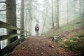 A man walking alone inside a forest in a foggy day