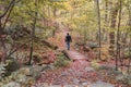 Man walking alone in woods over bridge with fall foliage